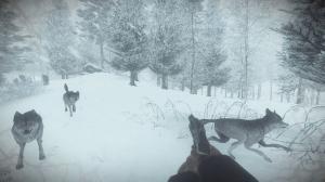 Kona EU PC, wersja cyfrowa 11