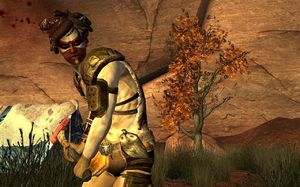 Fallout: New Vegas - Honest Hearts DLC PC, wersja cyfrowa 2