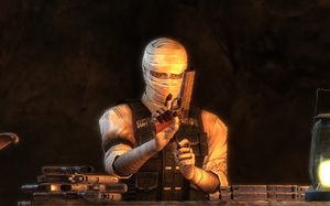Fallout: New Vegas - Honest Hearts DLC PC, wersja cyfrowa 3