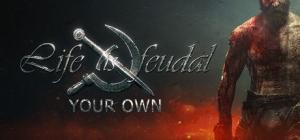 Life is Feudal: Your Own PC, wersja cyfrowa 1