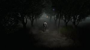 Roots of Insanity PC, wersja cyfrowa 7