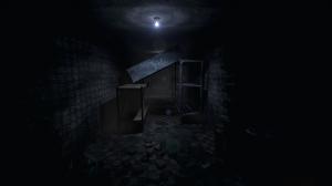 Roots of Insanity PC, wersja cyfrowa 8