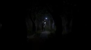 Roots of Insanity PC, wersja cyfrowa 3