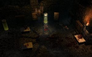 Crate Entertainment Grim Dawn EU PC, wersja cyfrowa 5
