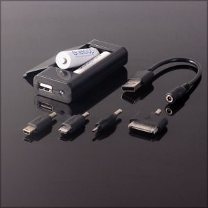 Ładowarka PowerNeed EC06 (EC06) 2