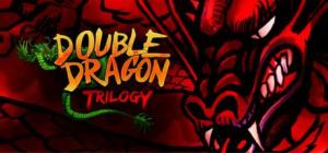 Double Dragon Trilogy PC, wersja cyfrowa 1