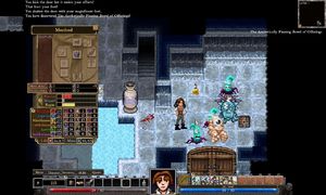 Dungeons of Dredmor PC, wersja cyfrowa 3