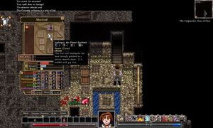 Dungeons of Dredmor PC, wersja cyfrowa 4