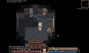 Dungeons of Dredmor PC, wersja cyfrowa 6