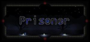 Prisoner PC, wersja cyfrowa 1