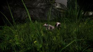 Miasmata PC, wersja cyfrowa 9