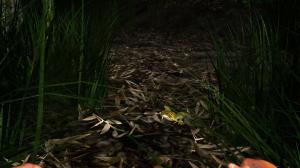 Miasmata PC, wersja cyfrowa 13