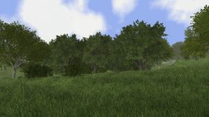 JIW-Games Rising World PC, wersja cyfrowa 4