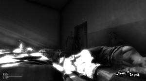 The Town of Light PC, wersja cyfrowa 14