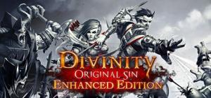 Divinity: Original Sin Enhanced Edition PC, wersja cyfrowa 1