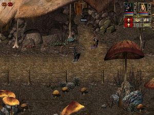 Beyond Divinity PC, wersja cyfrowa 2