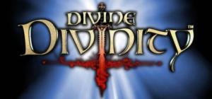 Divine Divinity PC, wersja cyfrowa 1