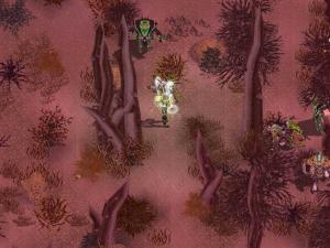 Depths of Peril PC, wersja cyfrowa 9