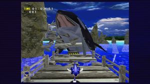 Sonic Adventure DX PC, wersja cyfrowa 4