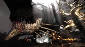 Bound By Flame EU PC, wersja cyfrowa 8