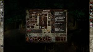 Overhaul Games Icewind Dale: Enhanced Edition GOG CD Key 9
