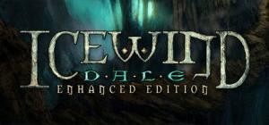 Icewind Dale: Enhanced Edition PC, wersja cyfrowa 1