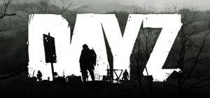 DayZ Steam Gift 1