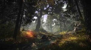 The Witcher 2: Assassins of Kings Enhanced Edition 1