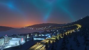 Cities: Skylines - Snowfall DLC Steam Gift 5
