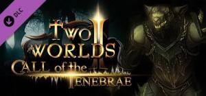 Two Worlds II - Call of the Tenebrae PC, wersja cyfrowa 1