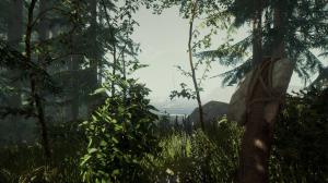 The Forest EU Steam Altergift 3
