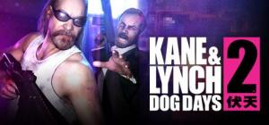 Kane & Lynch 2: Dog Days (Steam Gift) PC, wersja cyfrowa 1