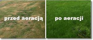 Hecht Wertykulator 1420/1427 areator+2 wałki 18