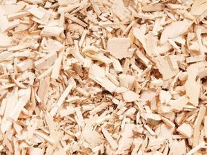 Hecht Rozdrabniacz nożowy 6173 4