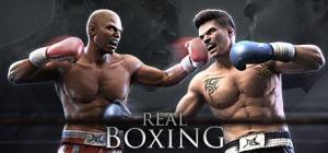 Real Boxing PC, wersja cyfrowa 1