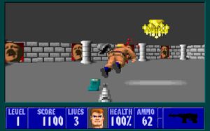 Wolfenstein 3D 6