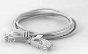 Wantec Wantec wW Patch Cable CAT6A (rand 2,8mm) UTP white 5,0m (7233) 1