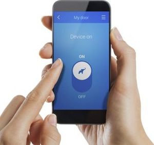 Elephant Door Elephant Door 2