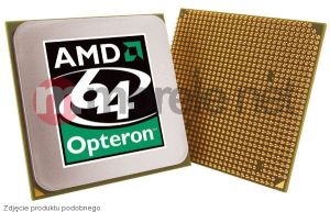 Procesor serwerowy AMD Opteron 6272 OS6272WKTGGGU 1