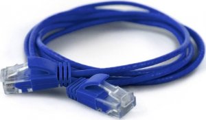 Wantec Wantec 7242 U/UTP (UTP) blue 0.5m Cat6a Network cable (7242) 1