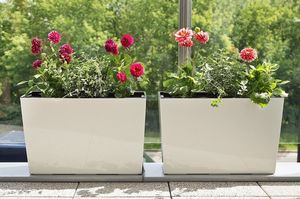 Lamela KWIETNIK z wkładem WERBENA POŁYSK CZARNY 19x56 H36 2