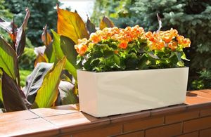 Lamela KWIETNIK z wkładem BEGONIA POŁYSK FRAPPE 19x56 H19 2