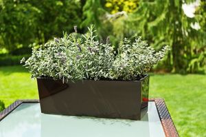 Lamela KWIETNIK z wkładem BEGONIA POŁYSK FRAPPE 19x56 H19 3