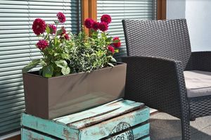 Lamela KWIETNIK z wkładem BEGONIA POŁYSK FRAPPE 19x56 H19 4