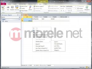 Microsoft Office Access 2010 ENG BOX (077-05753) 3
