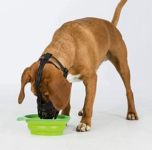 Trixie Kaganiec Muzzle Flex silikonowy M–L czarny 5
