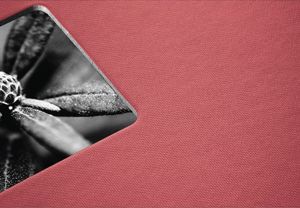 Hama ALBUM FINE ART 28X24/50 FLAMINGO, CZARNE KARTKI 9