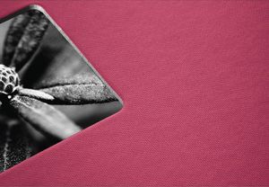 Hama ALBUM FINE ART 28X24/50 ORCHIDEA, CZARNE KARTKI 9