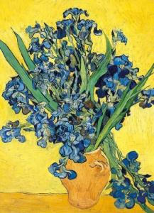 Museums & Galleries Karnet B6 z kopertą - Irises 1
