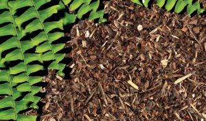 Exo Terra Podłoże do terrariumJungle Earth, 26,4L 5